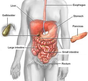 Conditions that Can Benefit From Colon Hydrotherapy