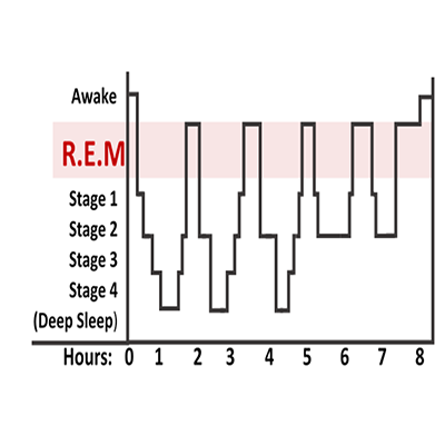 REM Sleep: Where the Magic Happens
